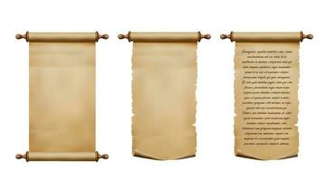 Old parchment paper scroll and papyrus manuscript vector