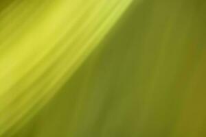 abstract background with green bokeh defocused lights and shadow photo