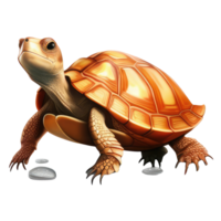 turtle pet variations . png