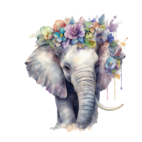 cute baby elephant watercolor with colorful flowers . png