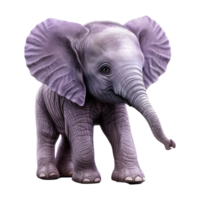 cute baby purple dancing elephant . png