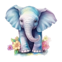 cute baby elephant watercolor with colorful flowers . png