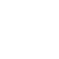 elemento flocos de neve ícone png