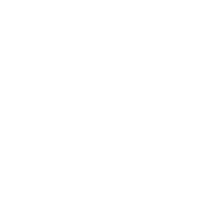 elemento copos de nieve icono png