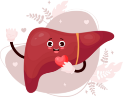 Cute  cartoon liver png