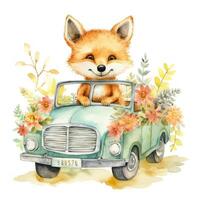 Cute watercolor baby animal in car. Illustration photo