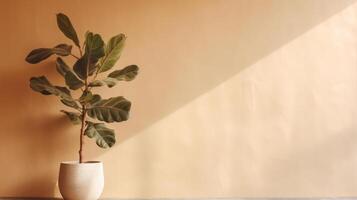 Ficus lyrata minimalist background. Illustration photo
