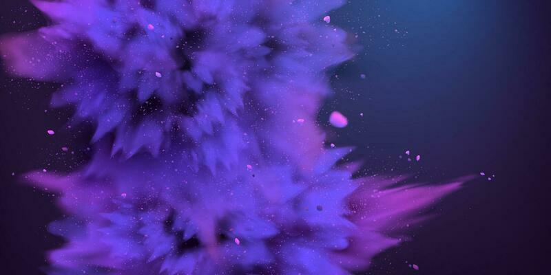 3d illustration of the purple colored powder with explosion effect on a dark background