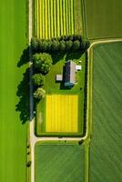 , Farm landscape, agricultural fields, beautiful countryside, country road. Nature Illustration, photorealistic top view drone, vertical format photo