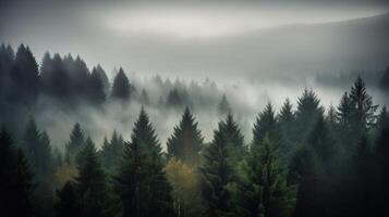 , Misty fir forest beautiful landscape in hipster vintage retro style, foggy mountains and trees photo