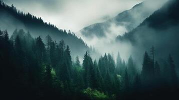 , Misty fir forest beautiful landscape in hipster vintage retro style, foggy mountains and trees photo