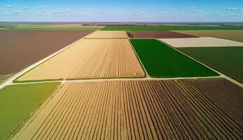 , Farm landscape, agricultural wheat fields, beautiful countryside, country road. Nature Illustration, photorealistic top view drone, horizontal banner. photo