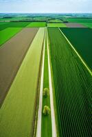 , Farm landscape, agricultural fields, beautiful countryside, country road. Nature Illustration, photorealistic top view drone, vertical format photo