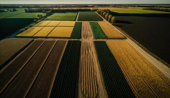 generativo ai, granja paisaje, agrícola trigo campos, hermosa campo, país la carretera. naturaleza ilustración, fotorrealista parte superior ver zumbido, horizontal bandera. foto