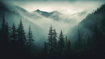 , Misty fir forest beautiful landscape in hipster vintage retro style, foggy mountains and trees photo