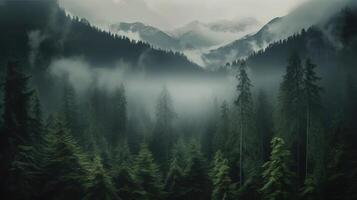 , Misty fir forest beautiful landscape in hipster vintage retro style, foggy mountains and trees photo