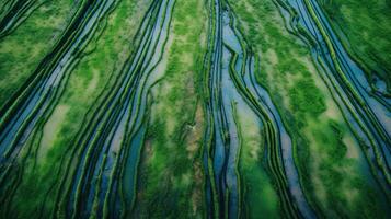 generativo ai, campo de verde césped con agua rociado, aéreo ver zumbido fotografía. pantano paisaje. foto