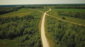 Wind airborne see - primitive road in summer. photo