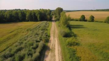 Wind airborne see - primitive road in summer. photo