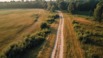 Wind airborne see - primitive road in summer. photo