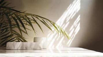 Obliged beige cotton tablecloth on counter table, tropical dracaena tree in sunshine on white divider establishment. photo