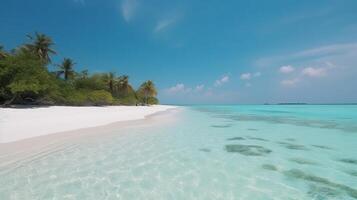 tropical Maldives island with white sandy shoreline and sea. palm. photo