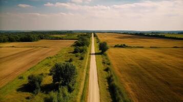 Wind airborne see - primitive road in summer. photo