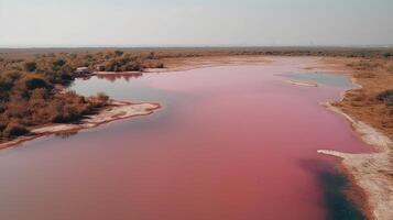 Ethereal see of pink lake, shocking see from drift. photo
