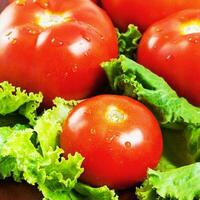 Fresh red tomatoes close-up photo