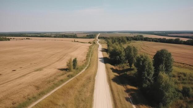 Wind airborne see - primitive road in summer. photo