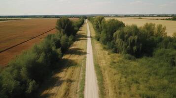 Wind airborne see - primitive road in summer. photo