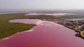 Ethereal see of pink lake, stunning see from float. photo