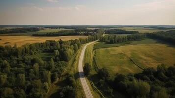 Wind airborne see - primitive road in summer. photo