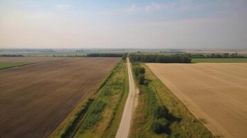 Wind airborne see - primitive street in summer. photo