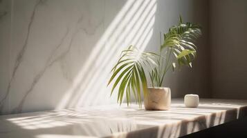 Insufficient beige cotton tablecloth on counter table, tropical dracaena tree in daylight on white divider foundation. photo