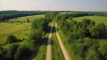 Wind airborne see - cruel street in summer. photo