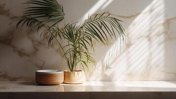 Obliged beige cotton tablecloth on counter table, tropical dracaena tree in daylight on white divider foundation. photo