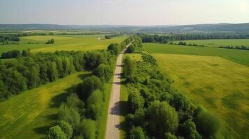 Wind airborne see - primitive street in summer. photo