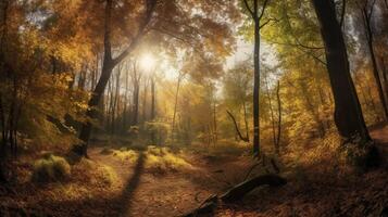 Dazzling scene of an assemble time woodland with sunrays entering through the branches. photo