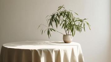 Obliged beige cotton tablecloth on counter table, tropical dracaena tree in daylight on white divider foundation. photo