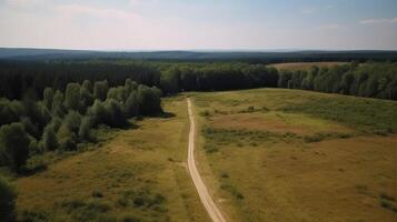 Wind airborne see - primitive street in summer. photo