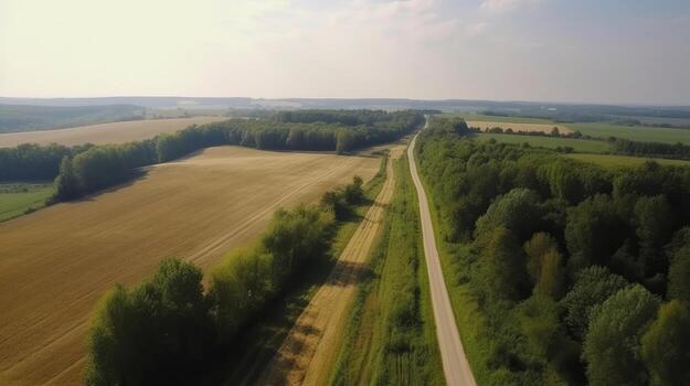 Wind airborne see - primitive street in summer. photo