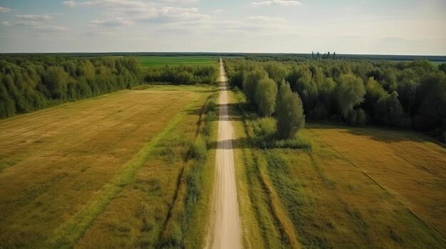 Wind airborne see - primitive road in summer. photo
