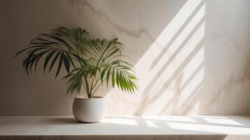 Disconnected beige cotton tablecloth on counter table, tropical dracaena tree in sunshine on white divider establishment. photo