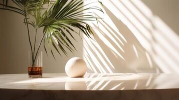 Precarious beige cotton tablecloth on counter table, tropical dracaena tree in daylight on white divider foundation. photo