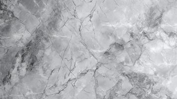 Theoretical chosen and retro organize gray and white stone concrete divider theoretical foundation. Creative resource, photo