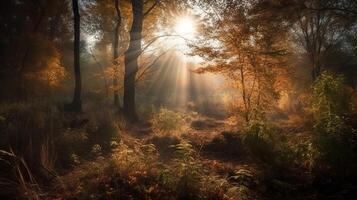 Disorienting scene of an collect time timberland with sunrays entering through the branches. photo