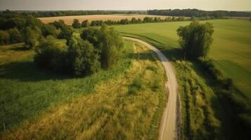 Wind airborne see - primitive road in summer. photo