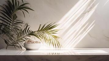 Obliged beige cotton tablecloth on counter table, tropical dracaena tree in sunshine on white divider establishment. photo