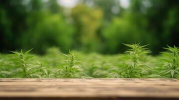 cleanse wooden table best with clouded establishment of cannabis plants. Creative resource, photo